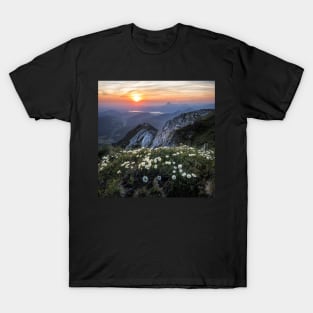 Sunset Flowers T-Shirt